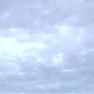 Meet your Posher, Jasmin